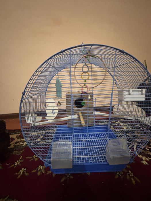 Продам клетку для птиц все необходимое есть.