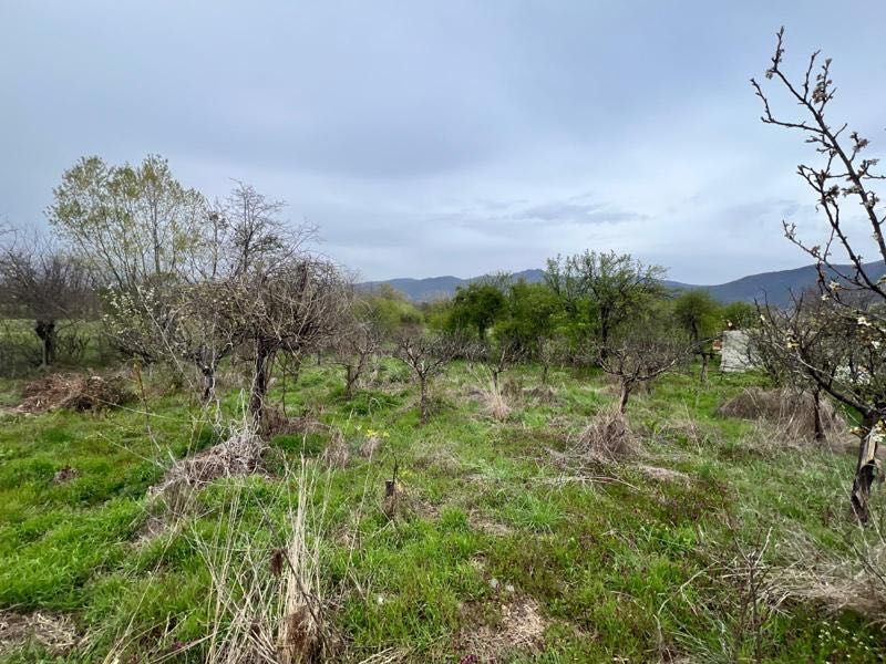 Живописен Парцел 251 кв. в Казанлък и Енина - Вилна Зона "Старите Лозя"