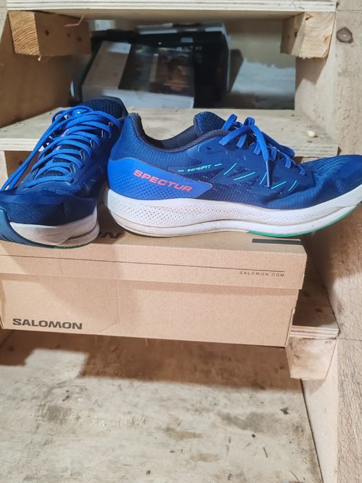 Salomon spectur albastru