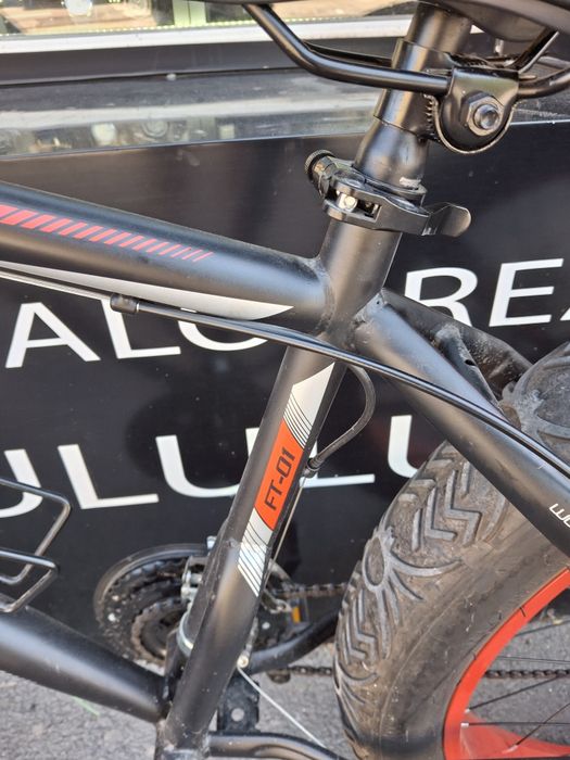 Bicicleta Phoenix