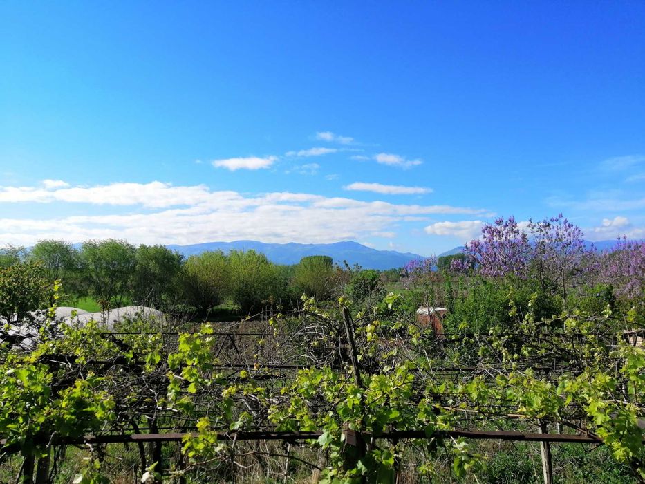 Продава се Къща в с. Говедаре, Област Пазарджик - 140 кв.м за 315 €/кв.м - Снимка #7