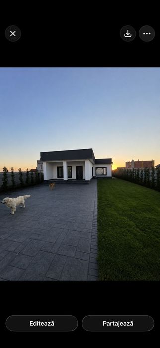 Firma cu experiență