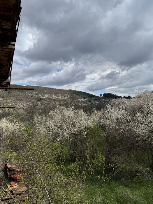 Продава се Къща в с. Габрешевци, Област Кюстендил - 90 кв.м за 241 €/кв.м - Снимка #7