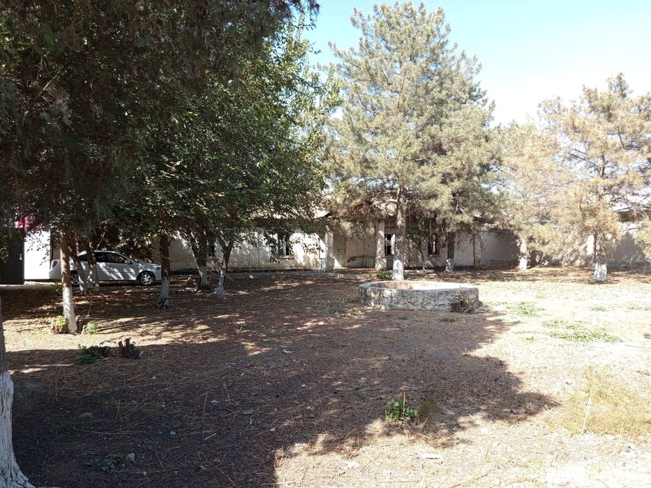 Дом , земельный участок