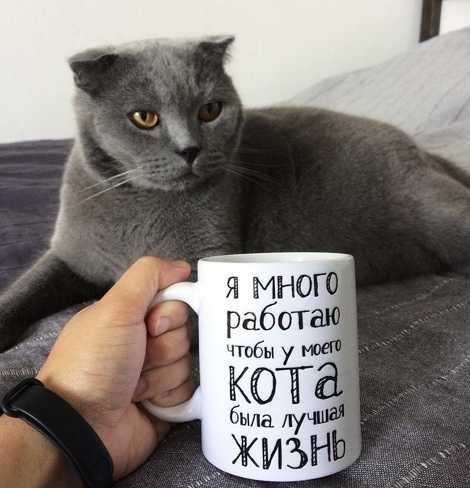 Печать на кружках. Быстро, качественно, недорого.