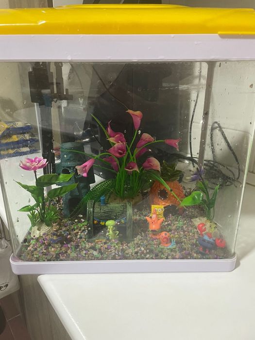 Продам аквариум с декором