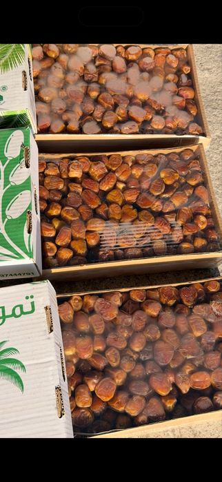 Финики, курма, финики