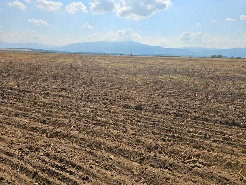 Продава се Земеделски имот в с. Боянци, Област Пловдив -  кв.м за 28 €/дка - Снимка #3