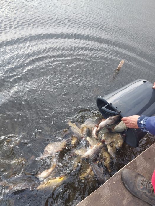 Balta pescuit/ferma piscicola 198 hectare,cu active imobile
