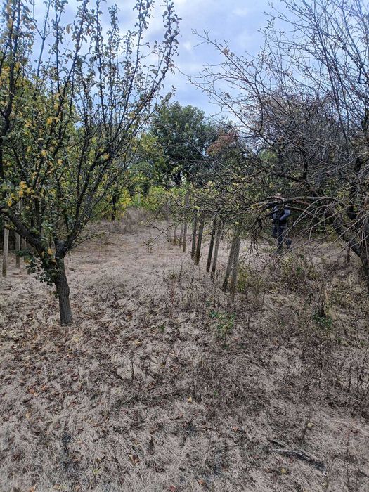 560-Продава се дворно място в местността "Арменски Лозя"!