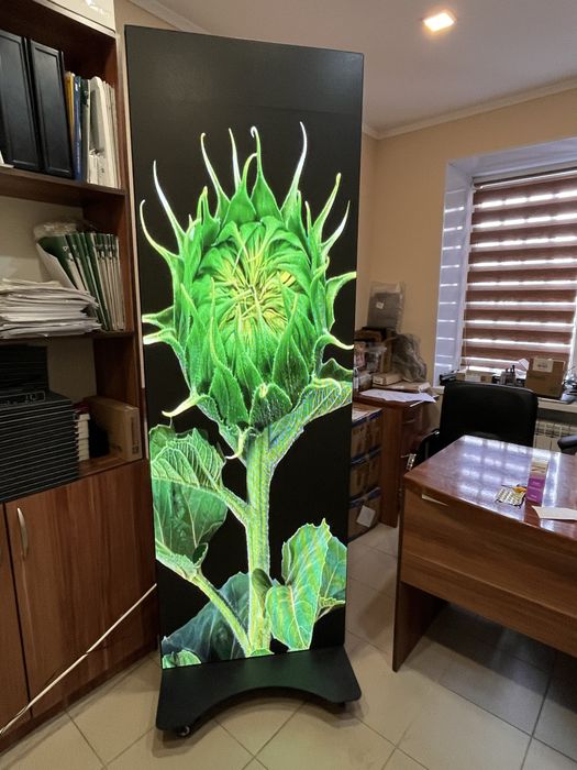 Лед экран с гарантией