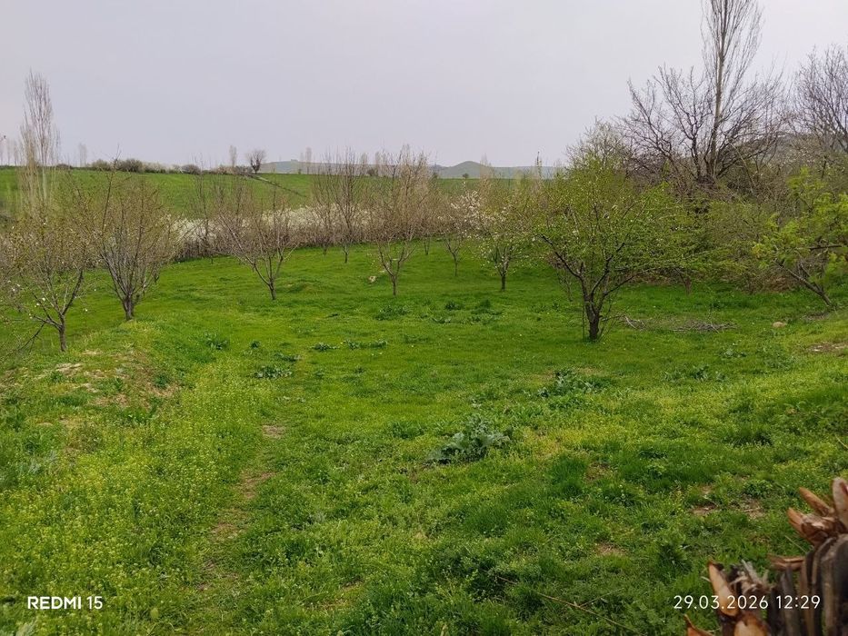 Йер сотилади 19 сотх сотх булибхам сотилади