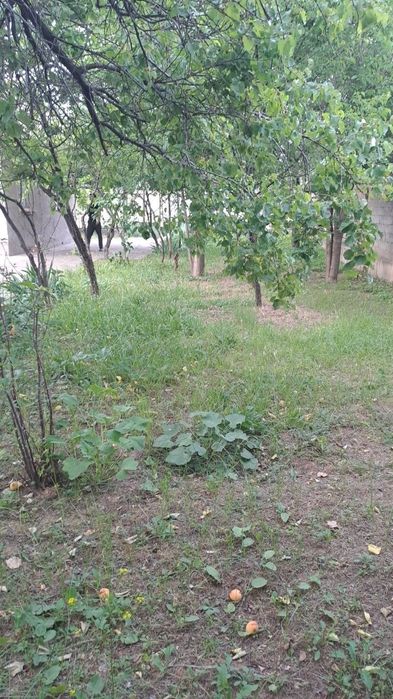 Dacha 5sotix Chirchiq