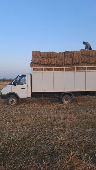 Газел хизмати Грузоперевозки 24/7 gazel Xizmati Yuk Tashish Xizmati