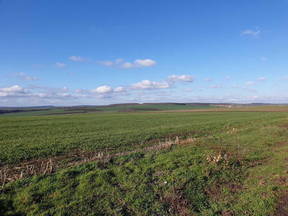 Продава се Земеделски имот в с. Тервел, Област Шумен -  кв.м за 509 €/дка - Снимка #4