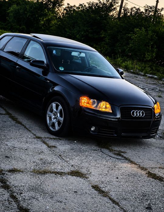 Audi A3 8p 2.0 tdi 170 cp