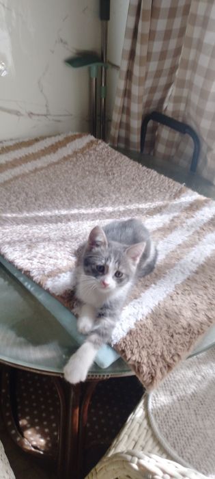 Мальчик ищет доброго человека!
