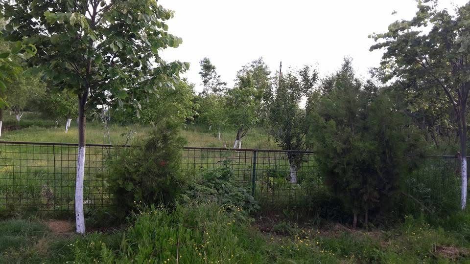 Teren  intravilan/extravilan