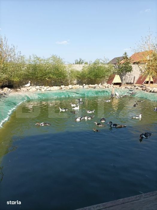 Vila 3 Ha Teren Cu Afacere In Conservare