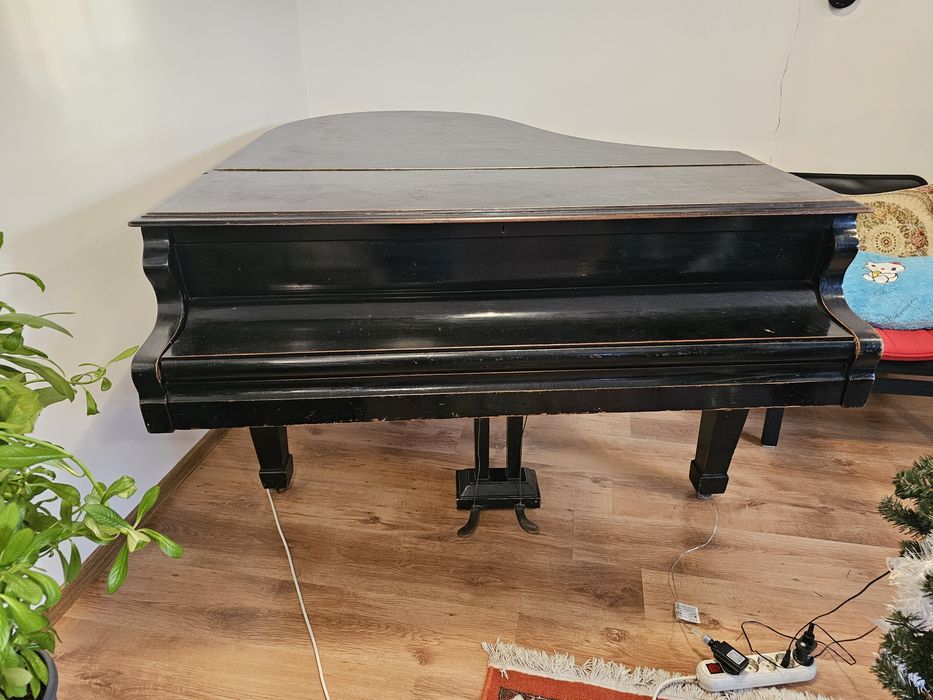 Vând pian de coada scurta