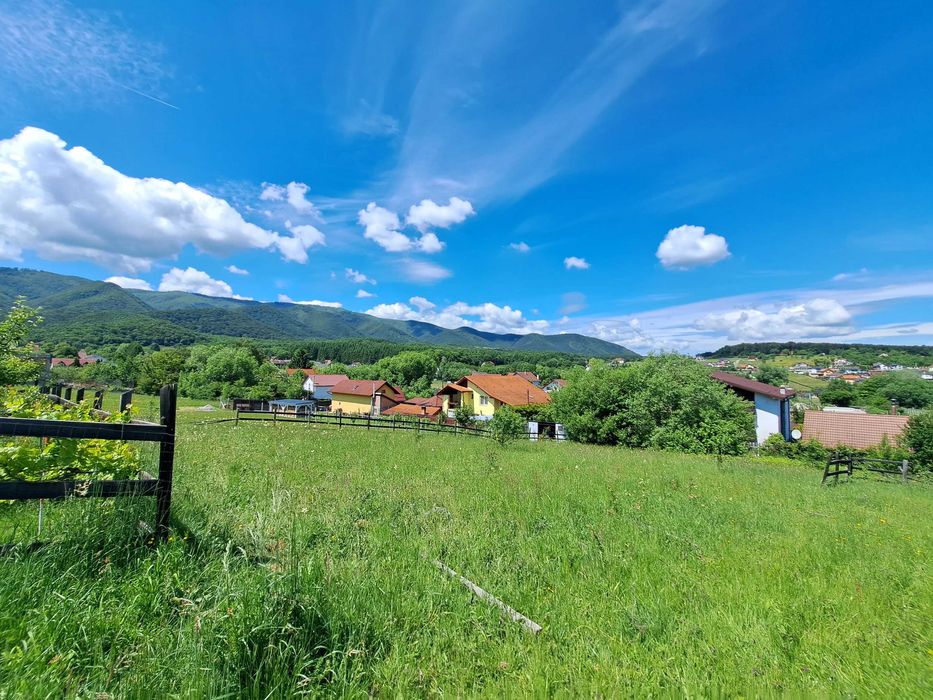 PF vand teren Tocile Sibiu 1000mp