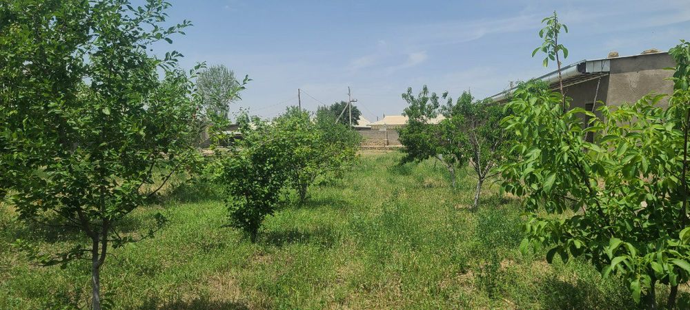 Uy sotiladi siroshni guzorda 30sutik