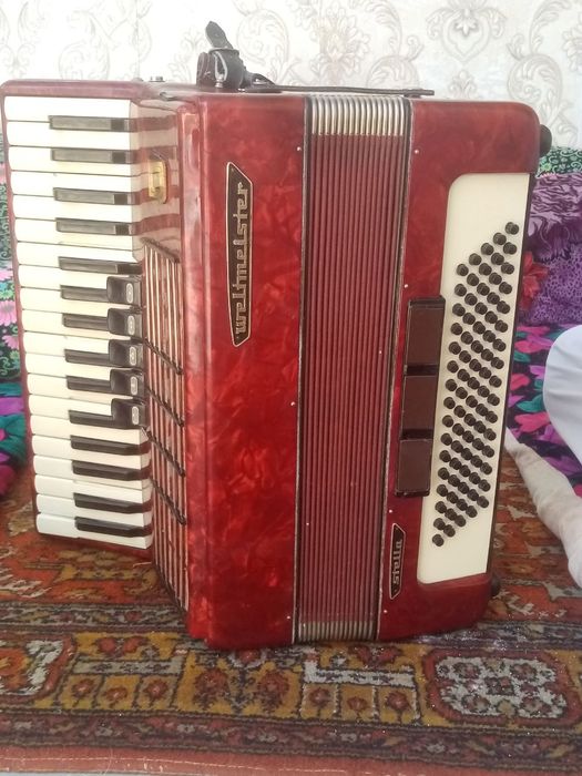 Акардион немецский