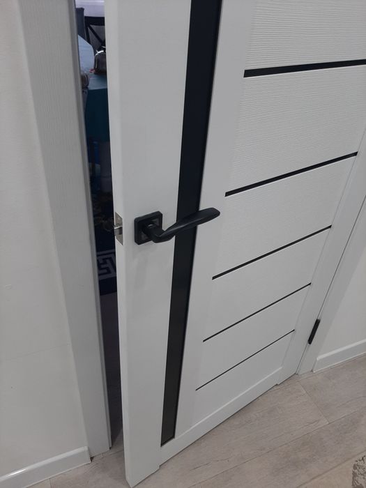 Установка двери и замен замков