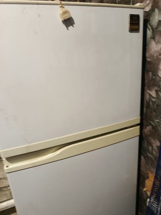 Срочно отдам бесплатно