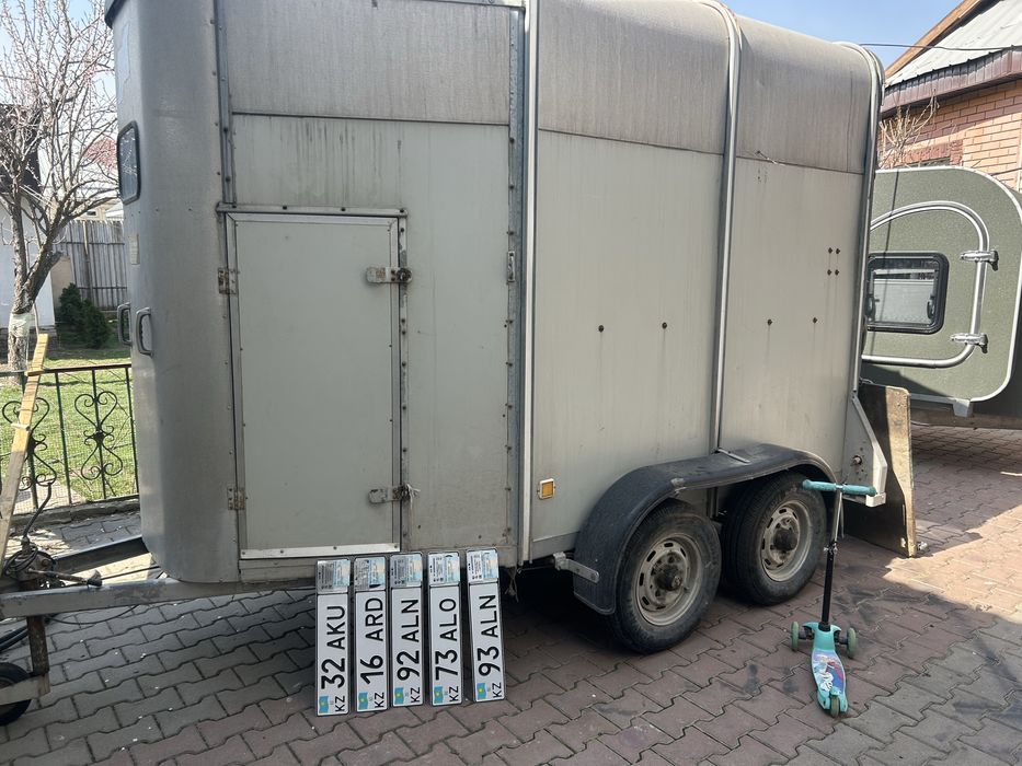 Коневозка букман