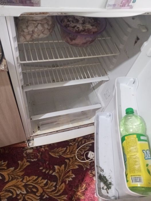 Шәй стол холодельник