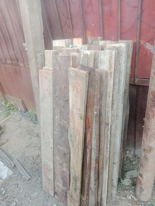 Продам срочно агаш