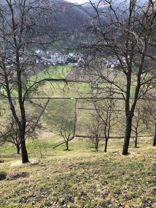 De vânzare teren proprietate privată, 71 ari in Ruscova jud. Maramureș
