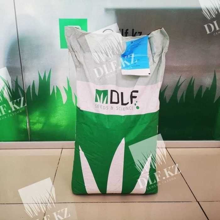 Клевер белый Астана