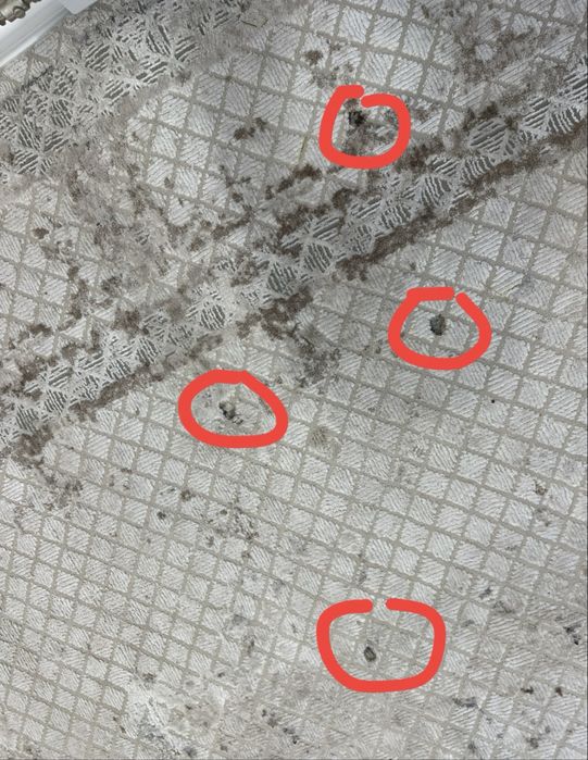 Продам ковер 300/500