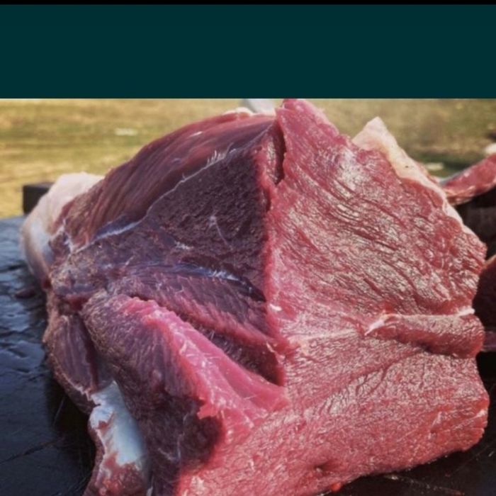 Қазақша жастар порно