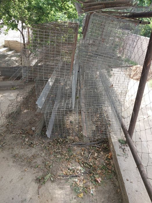 Товук сетка сотилади  клетка товук