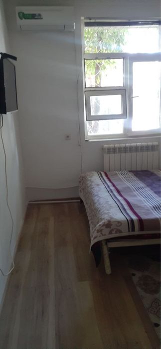 Аренда Саракулька Рисовый