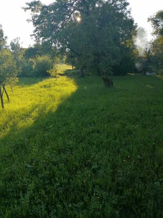 Vand Teren ideal pentru casa
