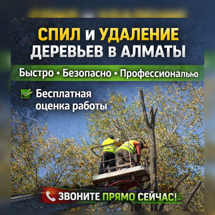 Ағаш кесу Спил Распил Деревьев Оценка Объекта БЕСПЛАТНО Недорого