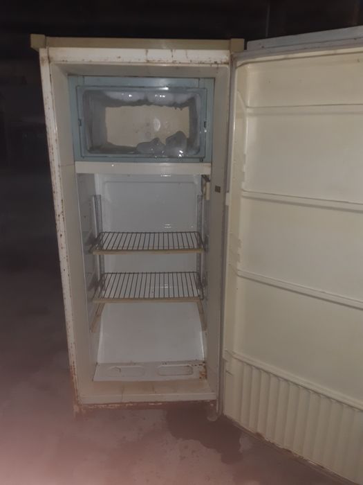 Muzlatkic.  Rasiski boyi 150 . iwlayotgan yaxwi zor iwledi.