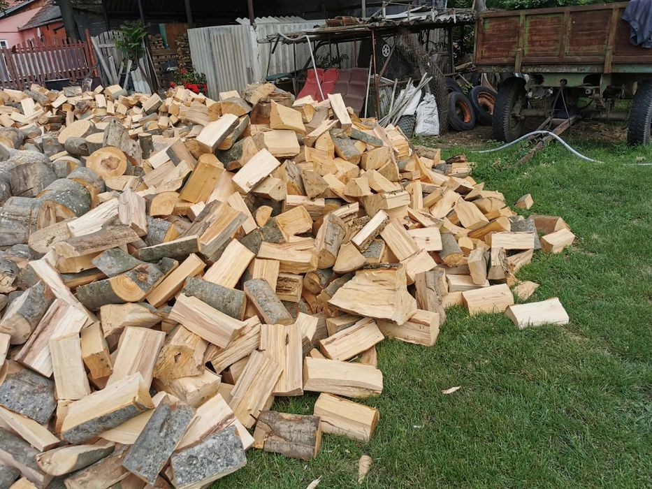 Servicii rapide de încredere