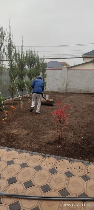 Садовник - агроном. Ландшафтный дизайнер