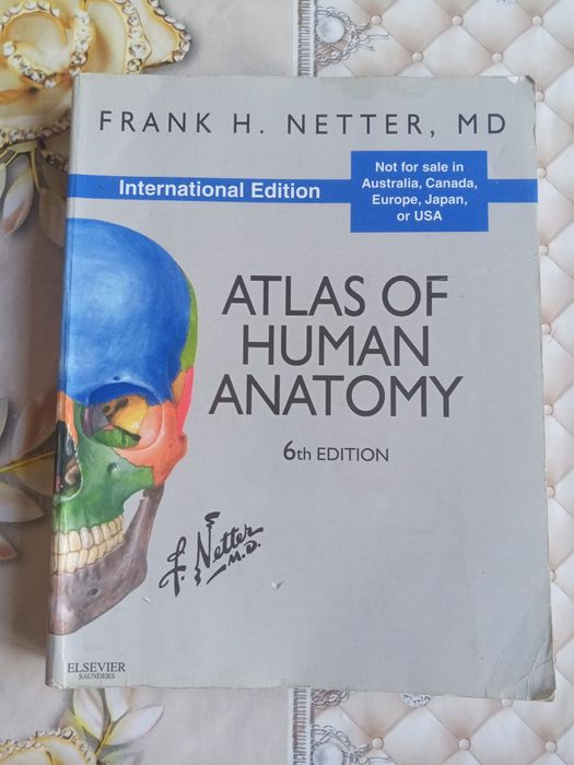 ОРИГИНАЛ! Atlas of human Anatomy Netter