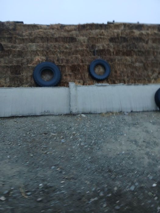 1500шоп сатылады