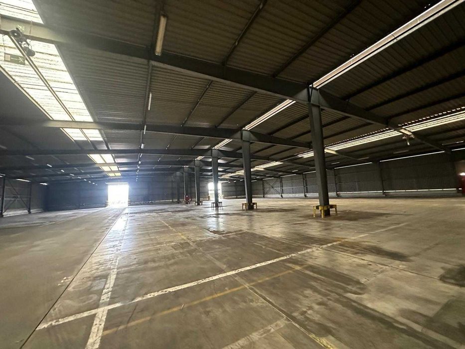 Hale Industriale Metalice 9000mp