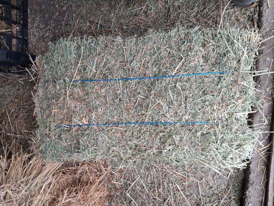 Vand baloti de fan si lucerna.