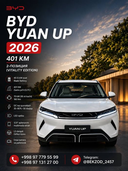 Byd yuan up bez probe 2026