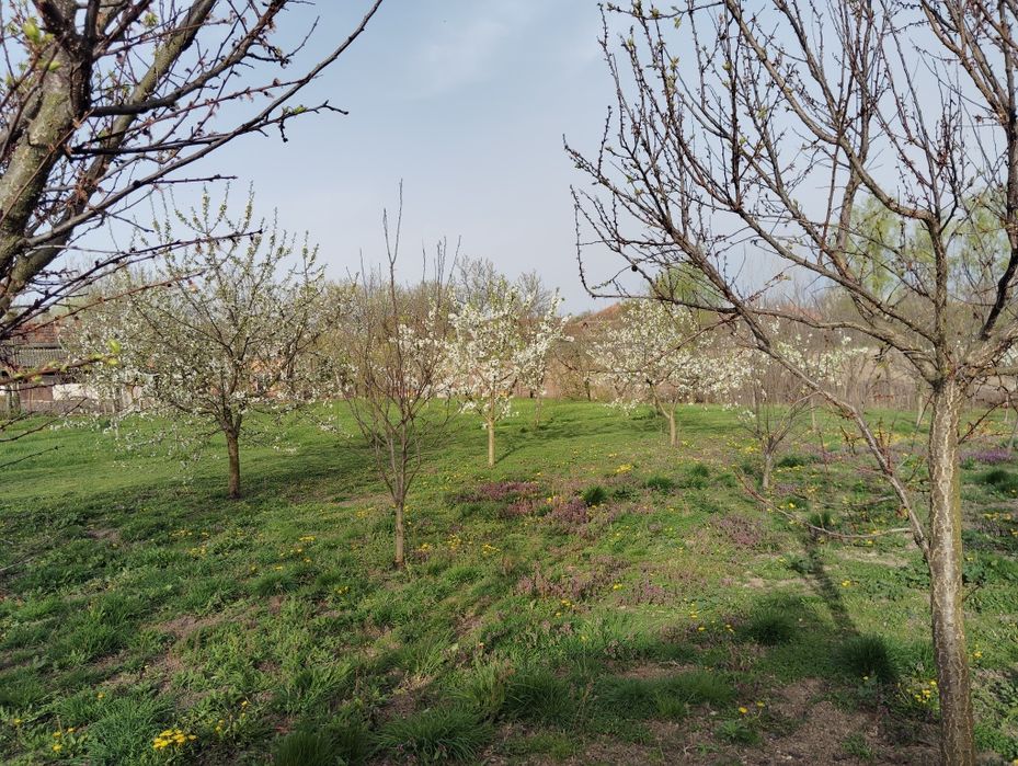 Casă tradițională cu teren generos și canal pentru pescarie si și irig