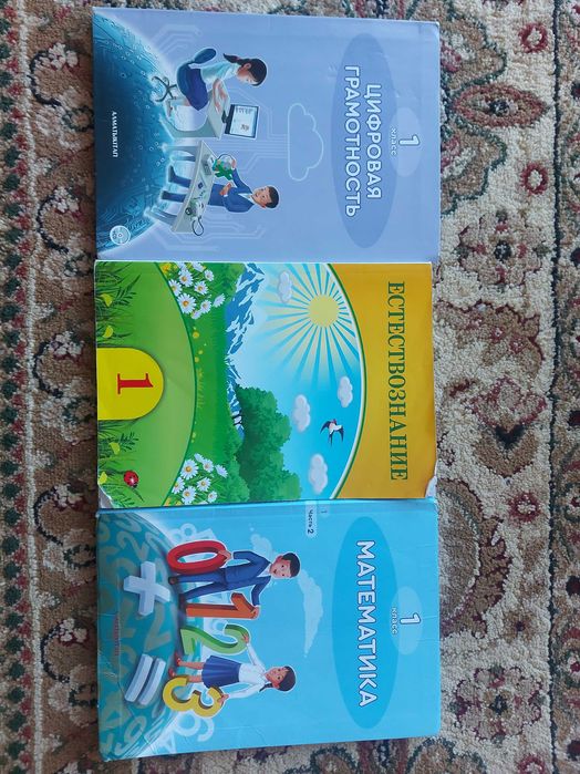 Книги 1 класс   Цифровая грамотность,  Естествознание,  Математика 2ч.